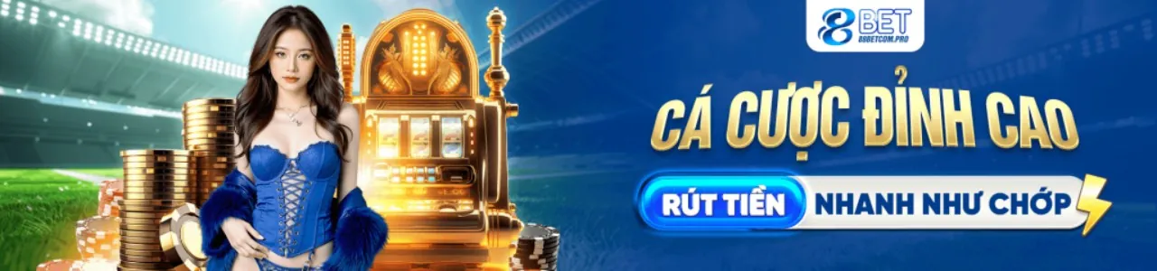 Hình ảnh banner hướng dẫn mã TDTC Code